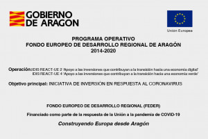 Ayuda del Fondo Europeo de Desarrollo Regional (FEDER)